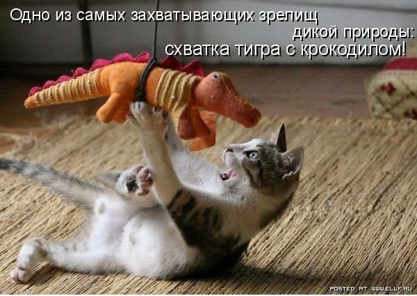 ���������� �������