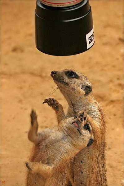 ������� � ����������