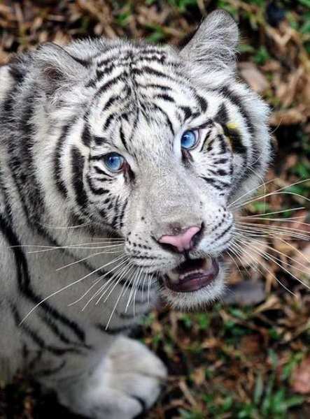 ������������