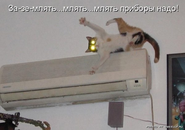 ���������� �������