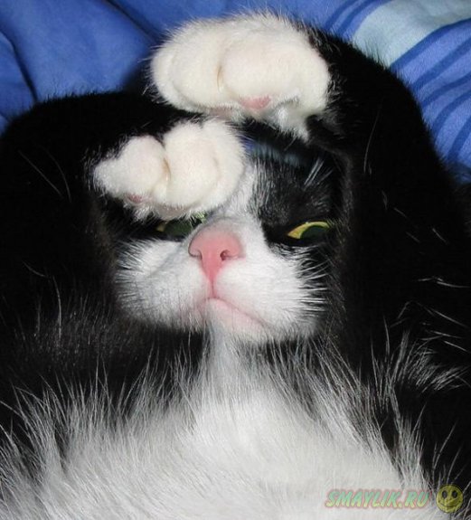 ���������� �����