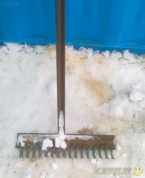 ����� ���