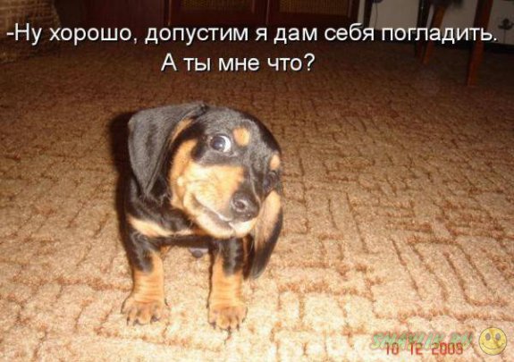 �������������