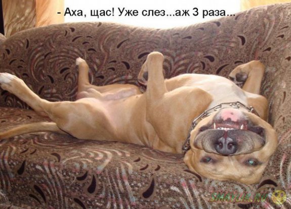 �������������