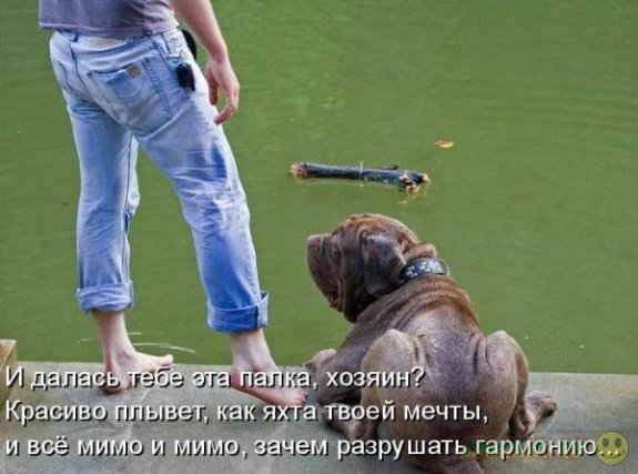 �������������