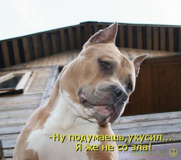 �������������