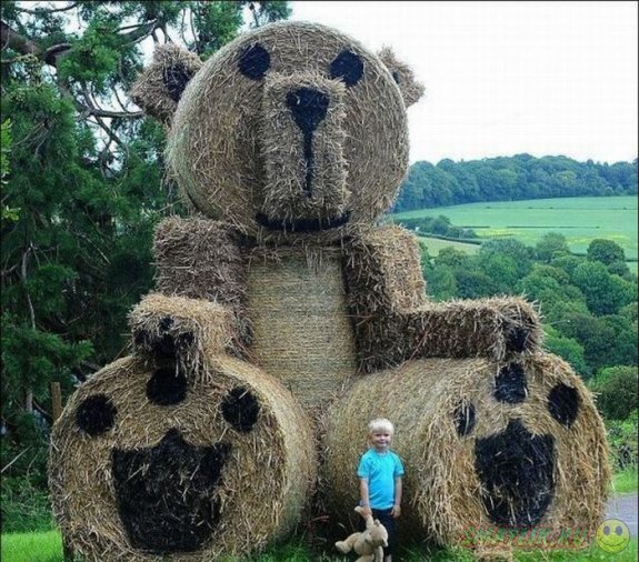 ������������