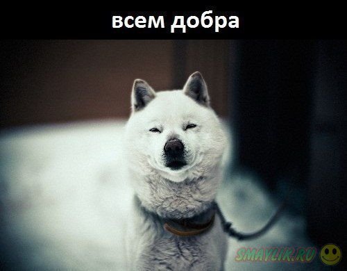 ������������� �����