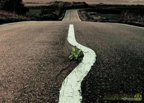 ������, ��� ������ ����������. ����� 4