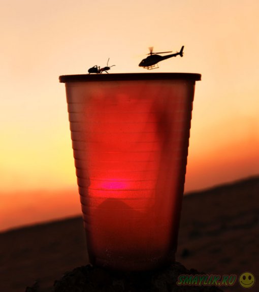 ������� �� ����