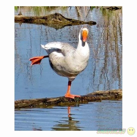 � �������� ������ �������� � ������������ ��������������� ����������