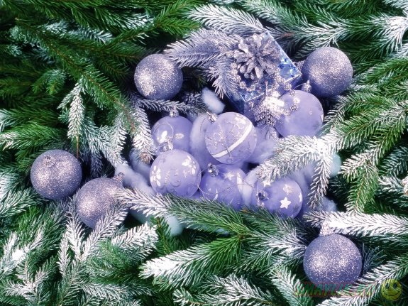 � ������ ���������� ������� �����  ������� � �������