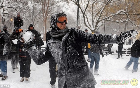 � ������ ����������  �������� ������� ����� 