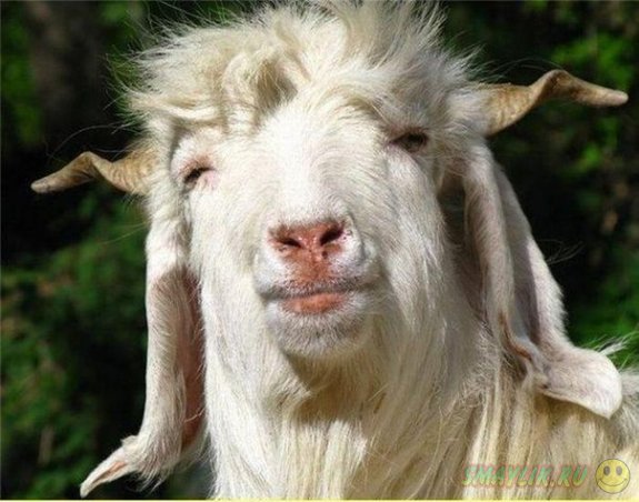 ��� � ��������� �������� �������� ������ - ����� ����