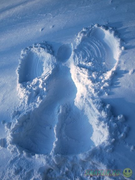 � ����������� ������� ��������  ������ �������  �������� �������  � �����