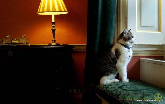 ���� �������-�������� �������������� �� ������ ������� � ��� 