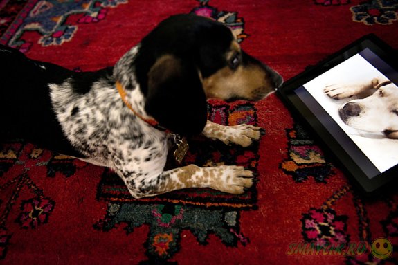 �  ��� � ������� � ����� �������� ����������� ���������