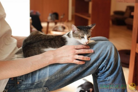 � ������� ��������� ������ ���������� ���� � �������