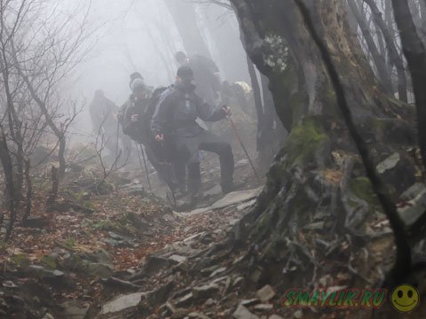 � ������ �������� ��� ���� ����� ���������� �������