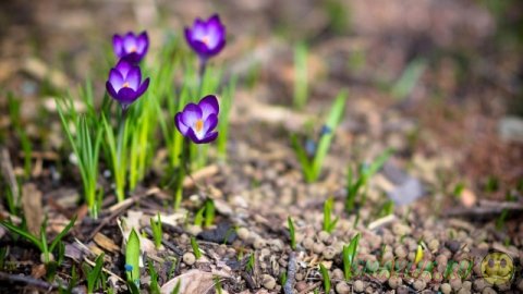 ��������� ����������!