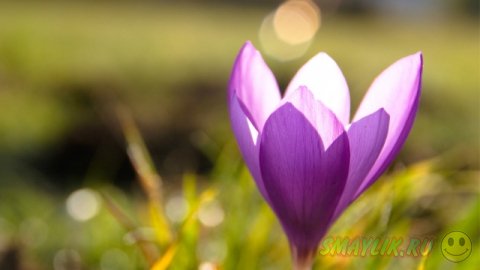 ��������� ����������!