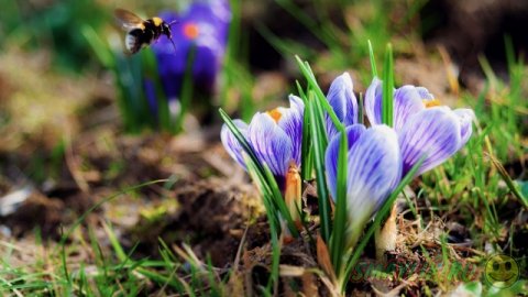 ��������� ����������!