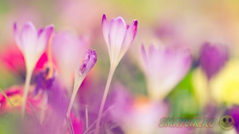 ��������� ����������!