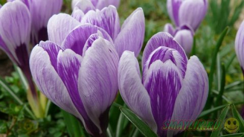 ��������� ����������!