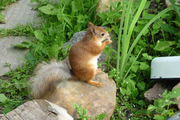 �������� �������� � ��������� ������ �� ���������� ����