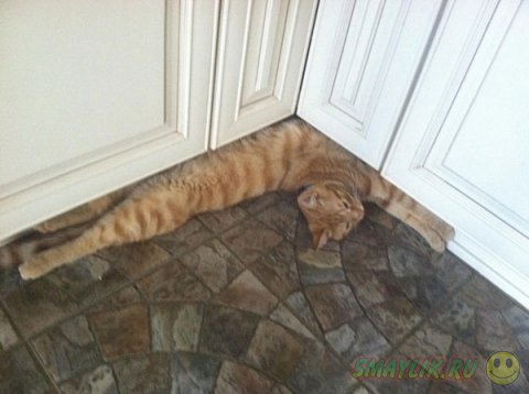 ������ ����� ��� �����