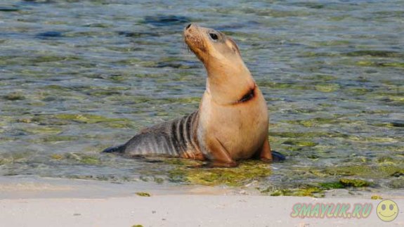 ������� ��� ����� ����������� �� ������ ������������ �������