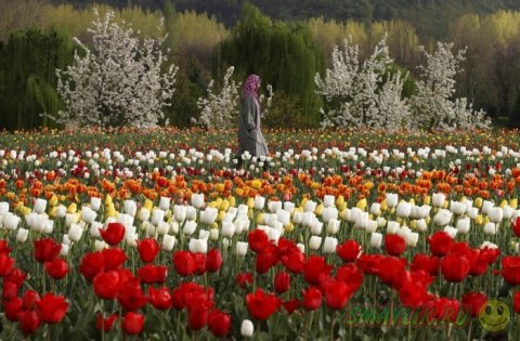 ����� ������!