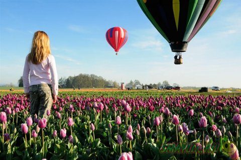 ����� ������ ���������