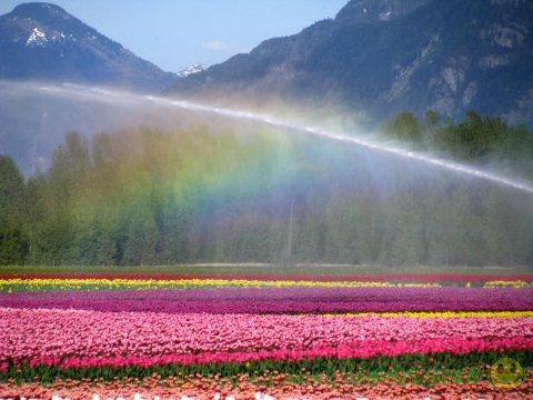 ����� ������ ���������