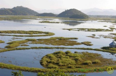 ������ - ��������� ������� ����� ������ � �����