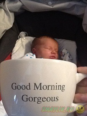 Baby mugging: ������ � ������