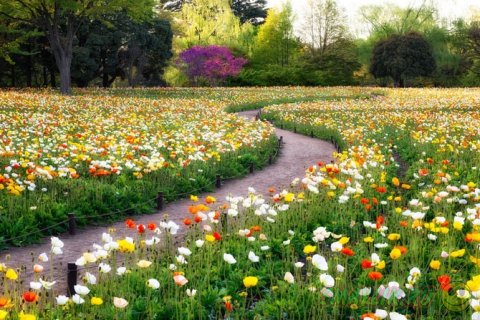 ������� ������ � ��������� ����������� 