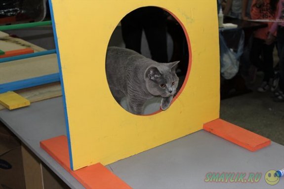 � ������������� ������� ���� ���������� ������ �� �������� ����� � �������������