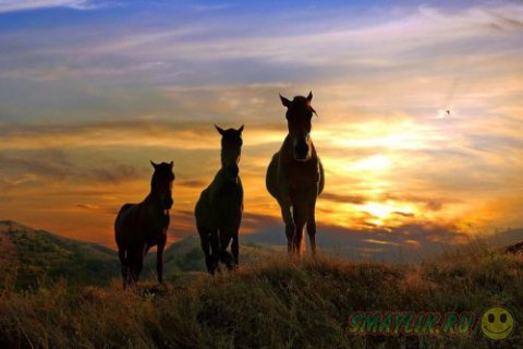 �������������� ���� � �������� ����