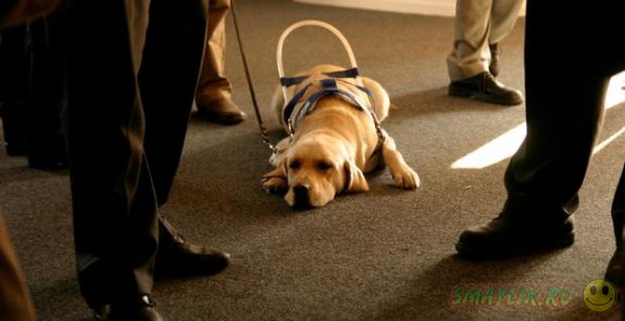 �������� �������� ����������� ��������� ����� �������-���������