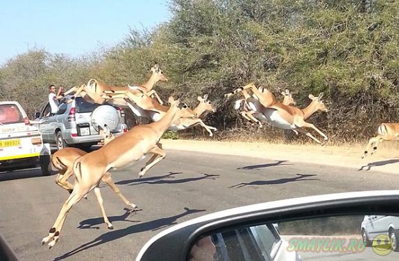 � ��� �������� ������ ���������� �� ����������� �� ��� ��������