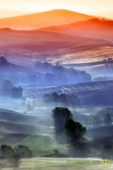 �������� �������  ������ ������� �� ������ ������ 