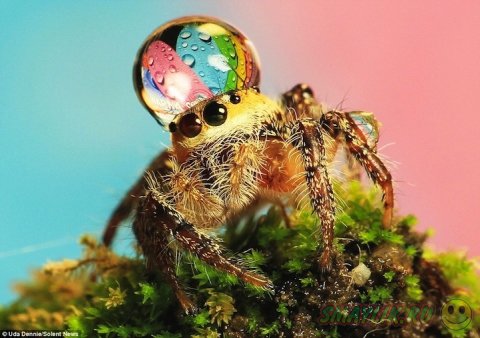 �������� ������ �� ��� �����