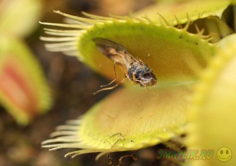 ���������� �������� � ������������ ���� ������� 