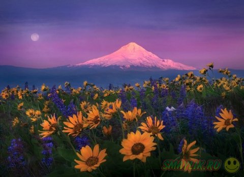 ��������� ���������� ����� �������