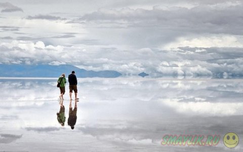 ������� ������� ����� �� ����