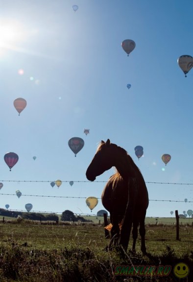 ��������� ��������� ����� �� �������