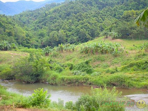 ������������ � �������� �������� ������� 40 ��� ������� ��� �����������