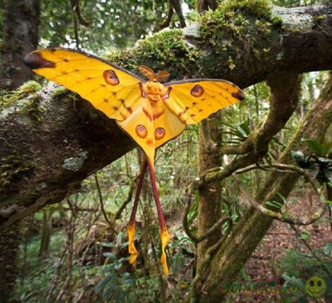 �������� ������ ������� -  �������������� ������ 