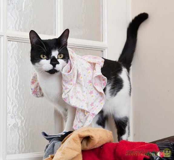 � �������� �������� ���� ������� �������  ������ ���� ������� �� ��������� ����� �����